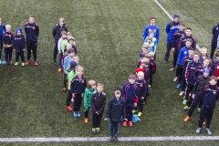bopp_16_03133