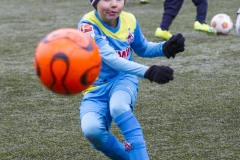 bopp_16_03156