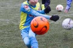 bopp_16_03157