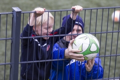 bopp_16_03158