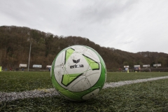 bopp_16_03160