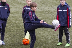 bopp_16_03170