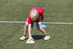 bopp_16_08134