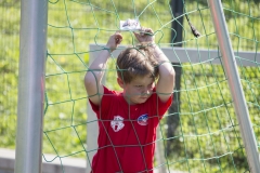 bopp_16_08142