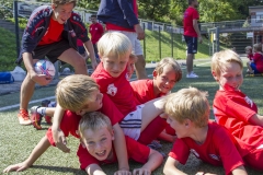 bopp_16_08145