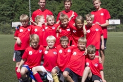 bopp_16_08149