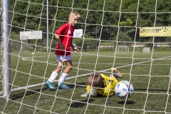 bopp_16_08157
