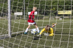 bopp_16_08158