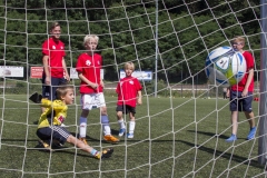 bopp_16_08159