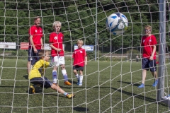 bopp_16_08160