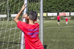 bopp_16_08165