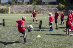bopp_16_08167