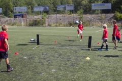 bopp_16_08168
