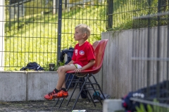 bopp_16_08170