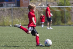 bopp_16_08171