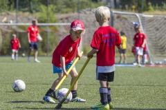 bopp_16_08172